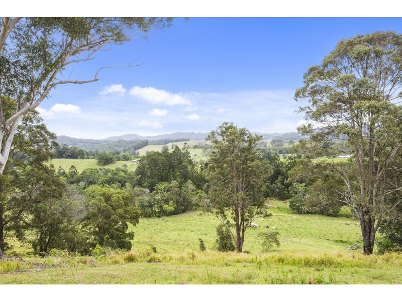 61 Kanes Road, Cudgera Creek NSW 2484