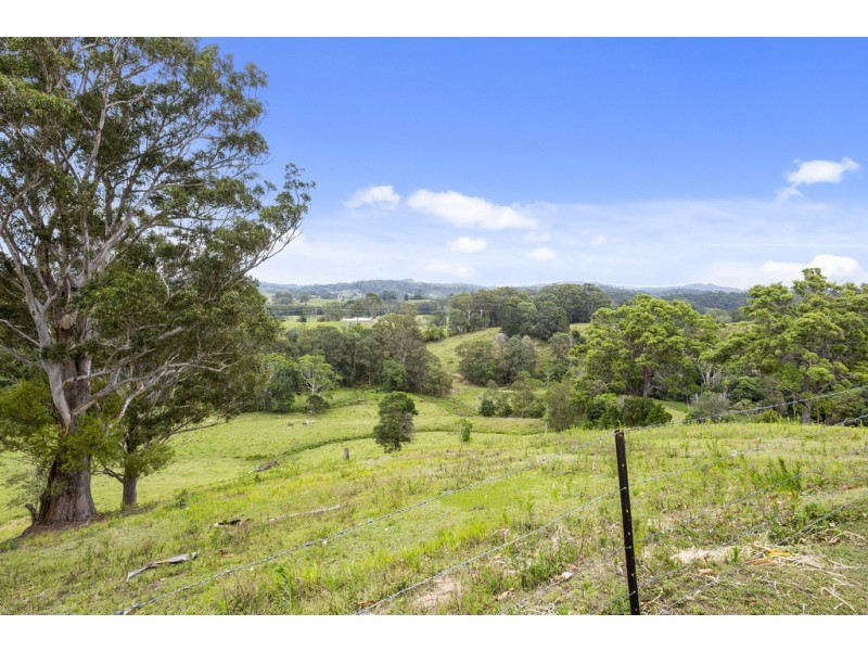 61 Kanes Road, Cudgera Creek NSW 2484