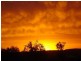 Bowral NSW 2576