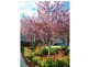 Bowral NSW 2576