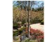 Burradoo NSW 2576