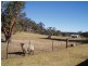 Berrima NSW 2577
