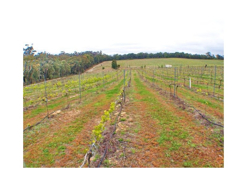 Canyonleigh NSW 2577