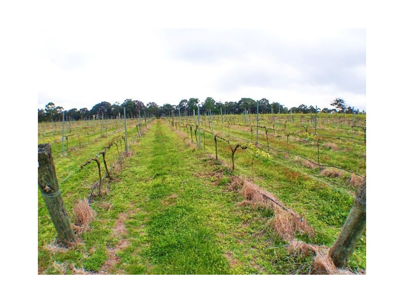 Canyonleigh NSW 2577