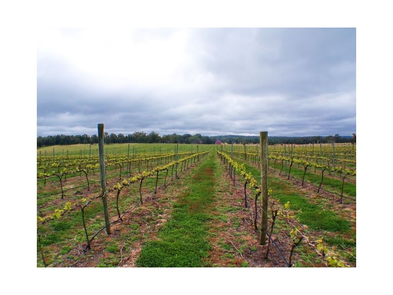 Canyonleigh NSW 2577