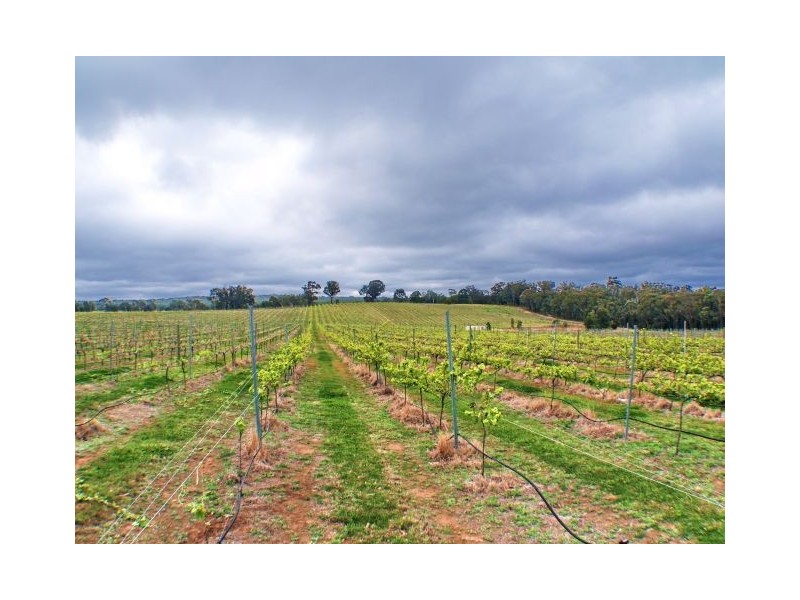 Canyonleigh NSW 2577