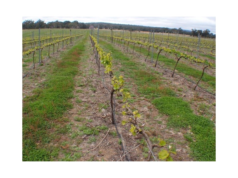 Canyonleigh NSW 2577