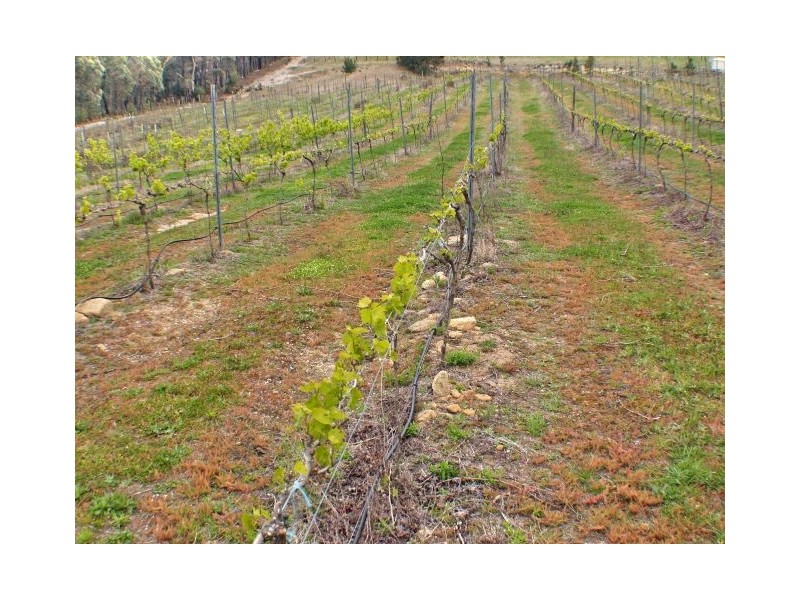 Canyonleigh NSW 2577