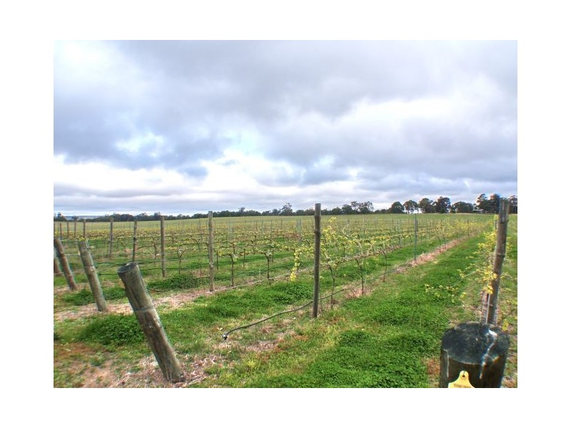 Canyonleigh NSW 2577