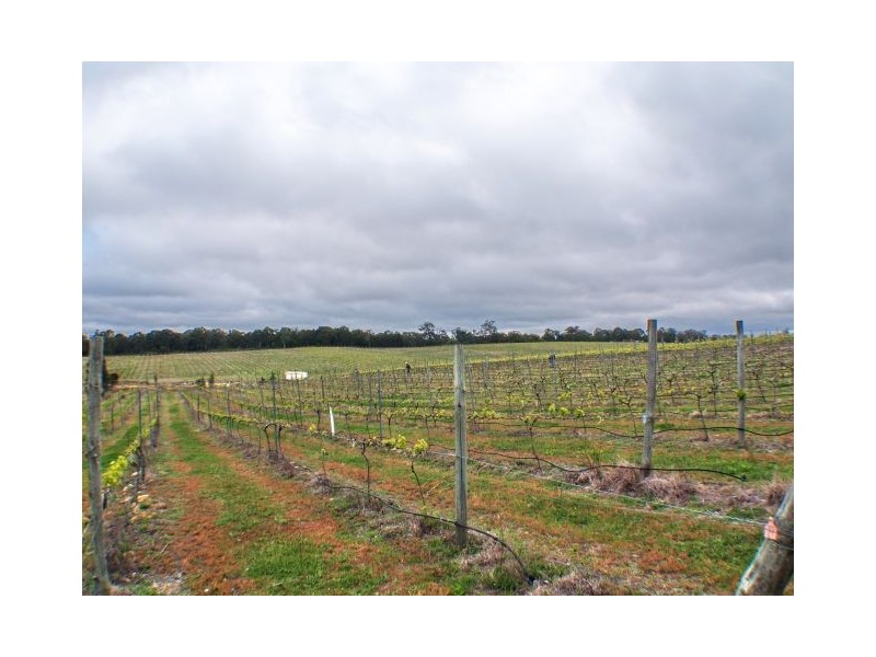 Canyonleigh NSW 2577