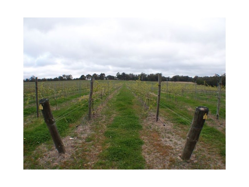 Canyonleigh NSW 2577