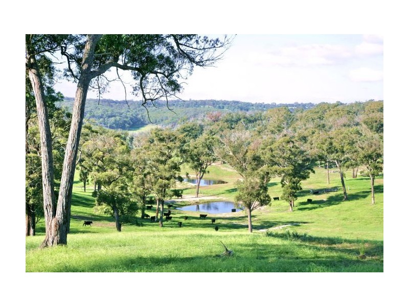 Canyonleigh NSW 2577