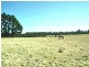 Canyonleigh NSW 2577