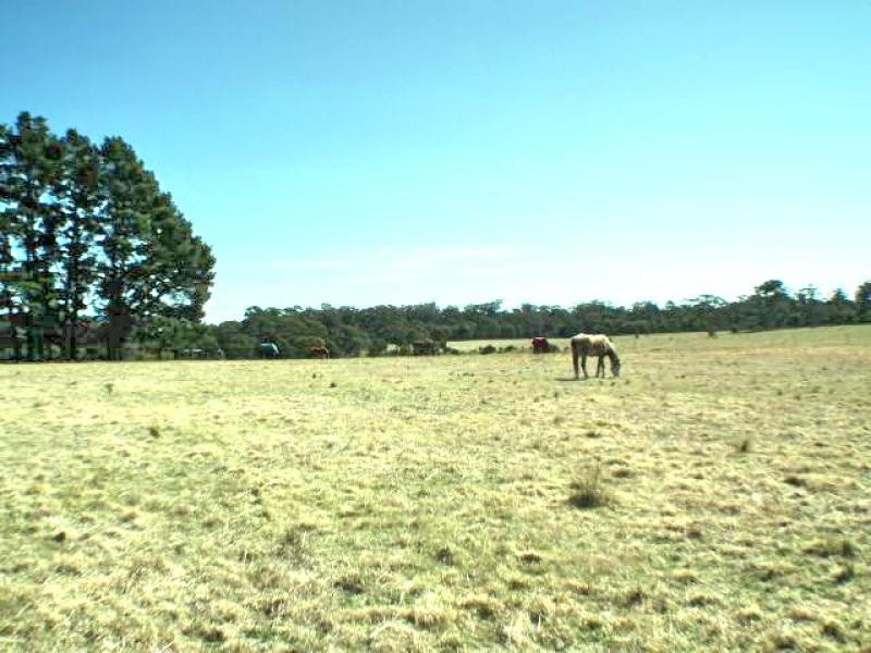 Canyonleigh NSW 2577
