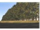 Canyonleigh NSW 2577