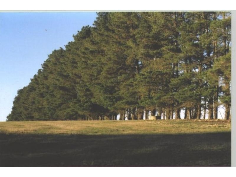 Canyonleigh NSW 2577
