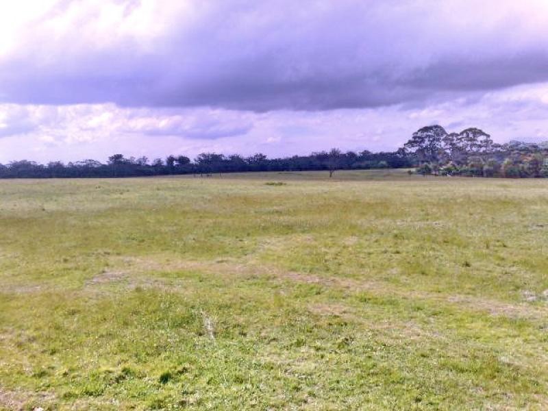 Canyonleigh NSW 2577