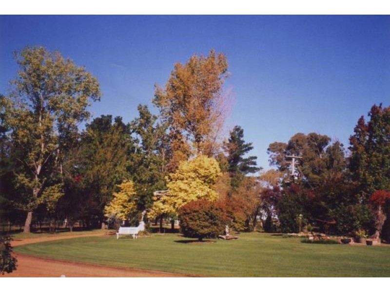 Canyonleigh NSW 2577