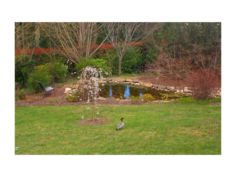 Bowral NSW 2576