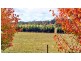 High Range NSW 2575
