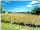 Sutton Forest NSW 2577