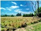 Sutton Forest NSW 2577