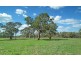 Canyonleigh NSW 2577