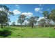 Canyonleigh NSW 2577