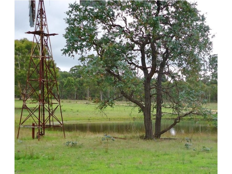 Canyonleigh NSW 2577