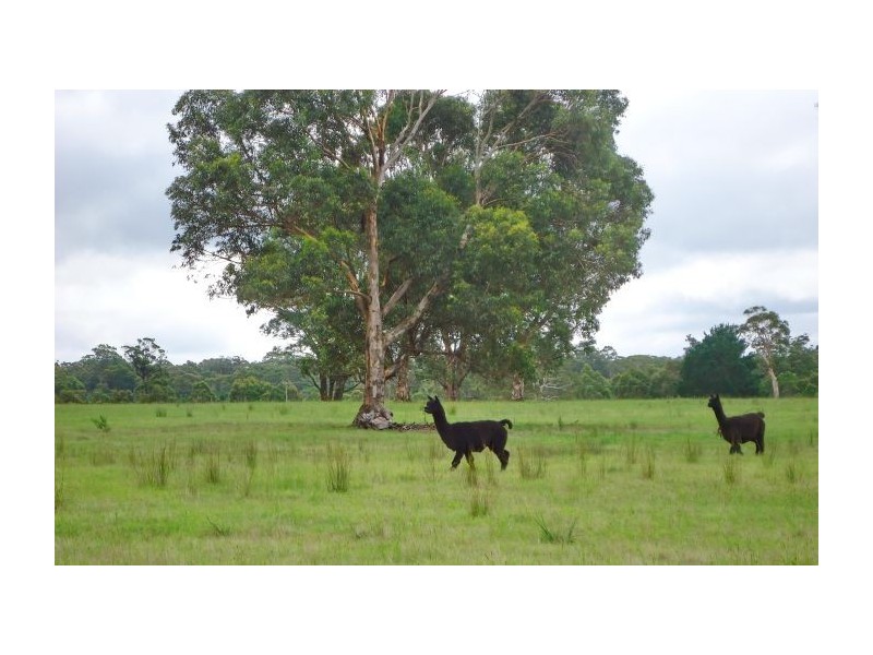 Canyonleigh NSW 2577