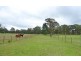 Canyonleigh NSW 2577