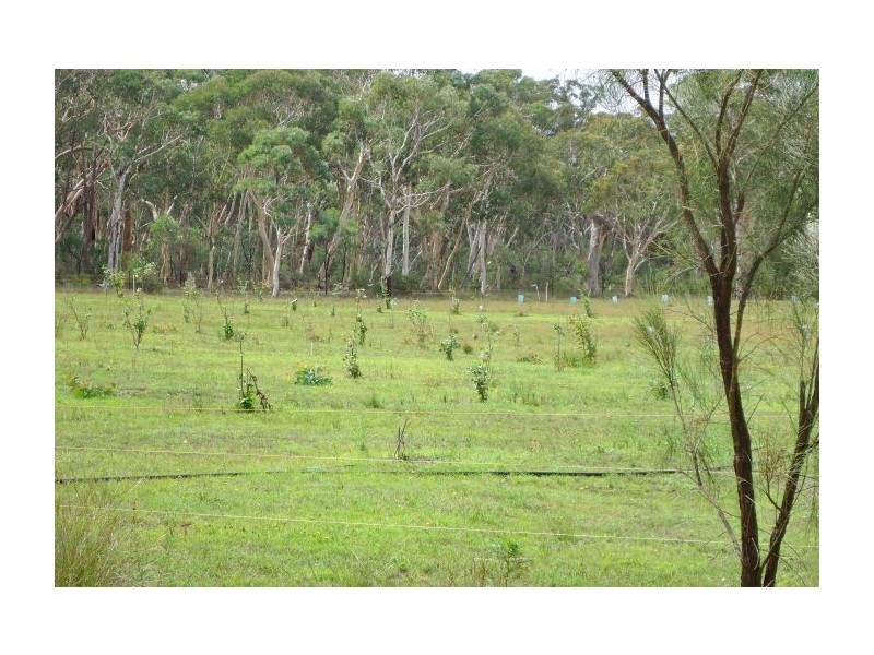 Canyonleigh NSW 2577