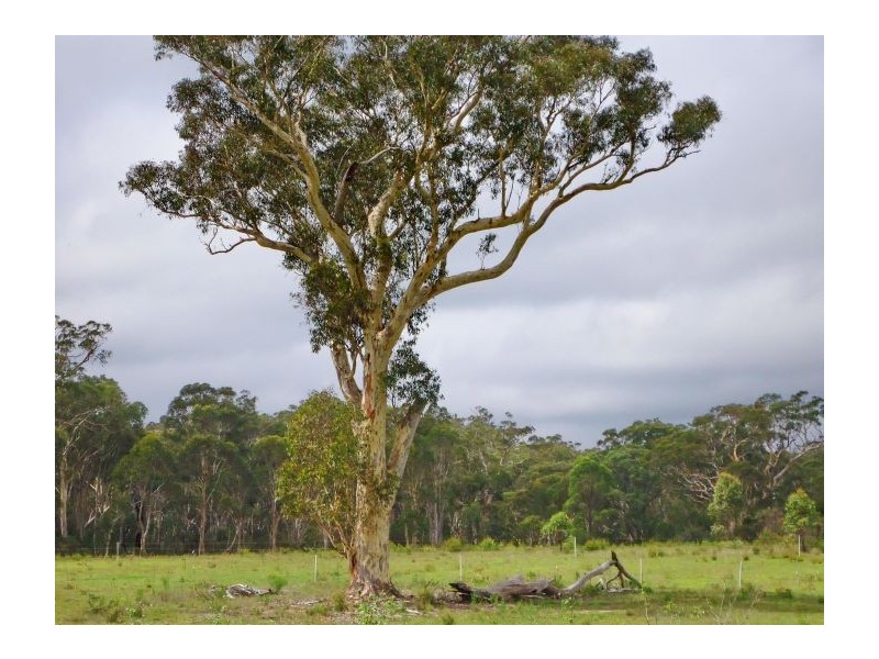 Canyonleigh NSW 2577