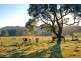 Avoca NSW 2577