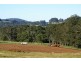 Avoca NSW 2577