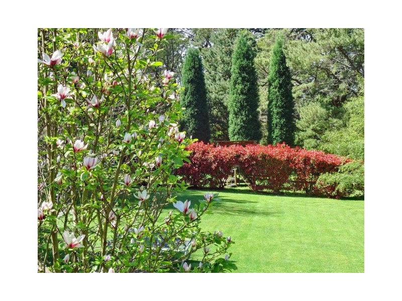 22 Carlisle Street, Bowral NSW 2576