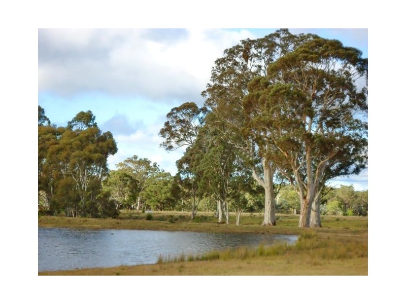 Canyonleigh NSW 2577