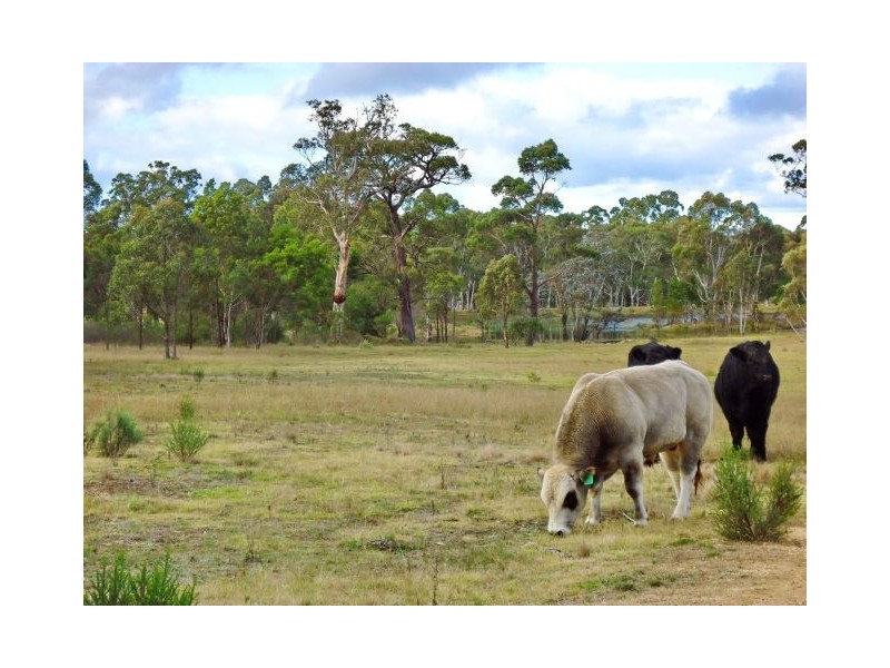 Canyonleigh NSW 2577