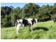 Kangaloon NSW 2576
