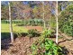 29 Trelm Place, Moss Vale NSW 2577
