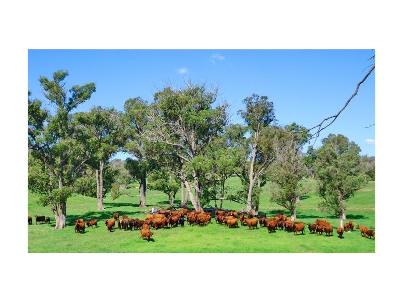 - WENDELA Canyonleigh Road, Canyonleigh NSW 2577