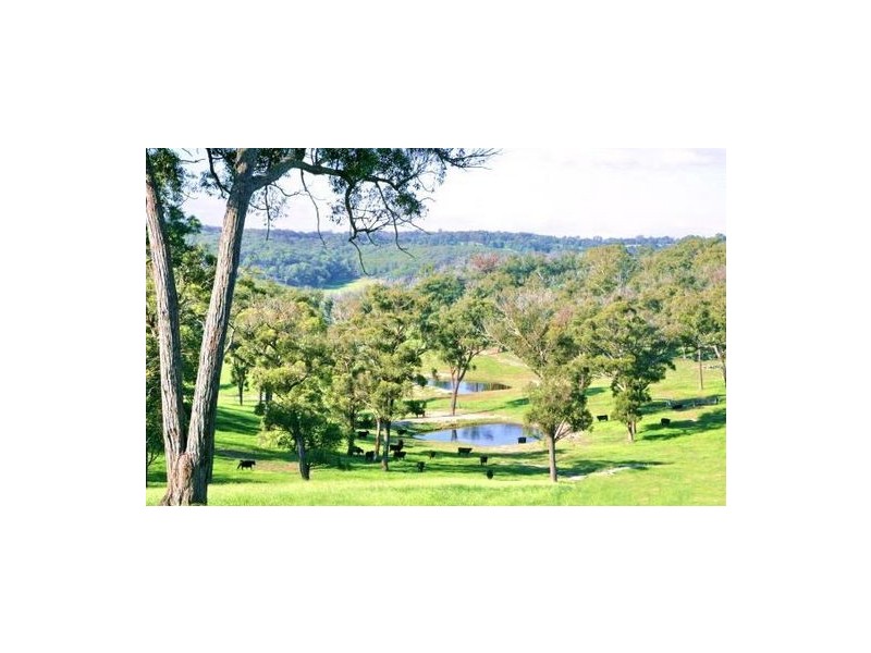 - WENDELA Canyonleigh Road, Canyonleigh NSW 2577