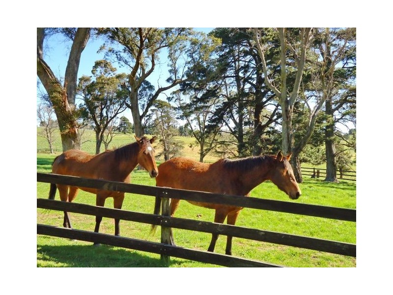 Sutton Forest NSW 2577