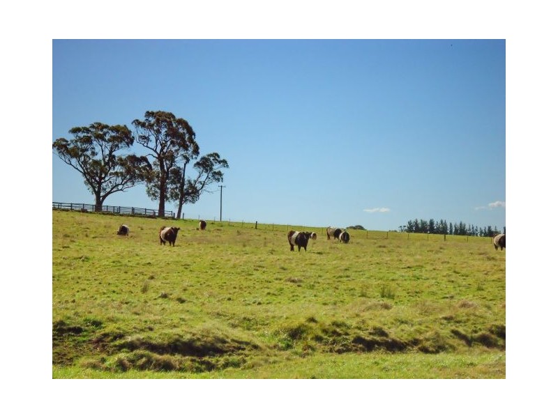 Sutton Forest NSW 2577