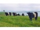 Kangaloon NSW 2576