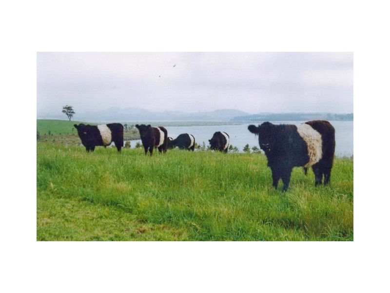 Kangaloon NSW 2576