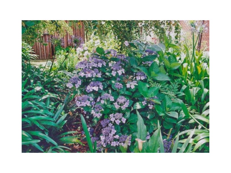 5a Badgery Street, Willow Vale NSW 2575