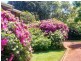 Bowral NSW 2576
