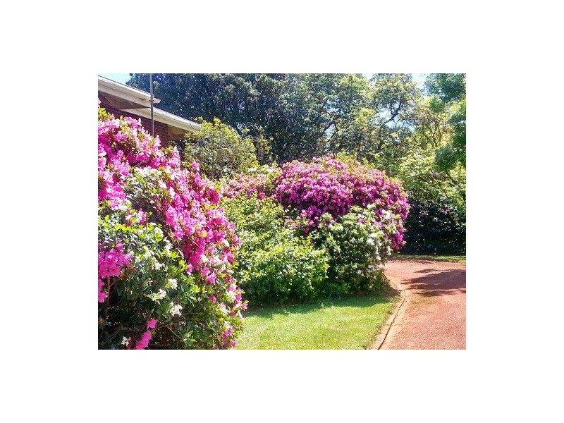 Bowral NSW 2576