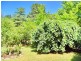 Bowral NSW 2576